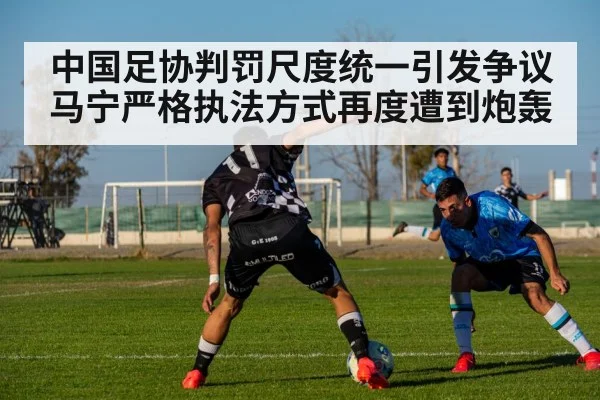 中国足协判罚尺度统一引发争议 马宁严格执法方式再度遭到炮轰